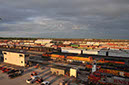 REX_5619